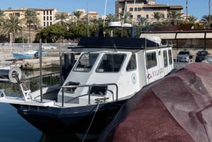 Palma de Mallorca: Lokale Fischerei-Aktivitäten