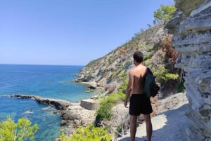 Palma de Mallorca: North Coast Nature Escape Day Tour