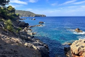 Palma de Mallorca: Dagstur till den norra kusten för att fly från naturen