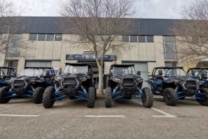 Palma de Off/On Road Buggy Tour with 2 or 4 Seater