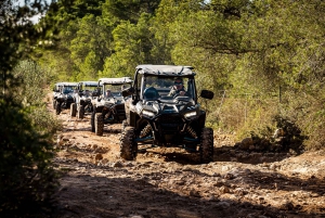 Palma de Off/On Road Buggy Tour with 2 or 4 Seater