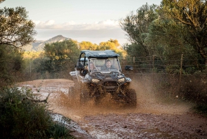 Palma de Off/On Road Buggy Tour with 2 or 4 Seater