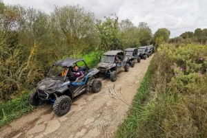 Palma de Off/On Road Buggy Tour with 2 or 4 Seater