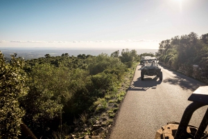 Palma de Off/On Road Buggy Tour with 2 or 4 Seater