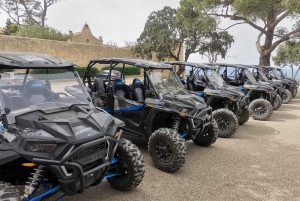 Palma de Off/On Road Buggy Tour with 2 or 4 Seater