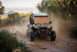 Palma de Off/On Road Buggy Tour with 2 or 4 Seater