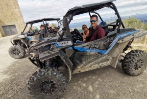 Palma de Off/On Road Buggy Tour with 2 or 4 Seater
