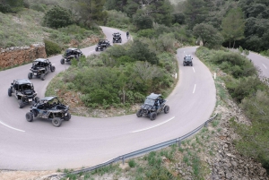 Palma de Off/On Road Buggy Tour with 2 or 4 Seater