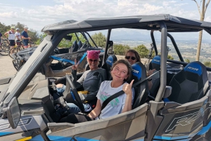 Palma de Off/On Road Buggy Tour with 2 or 4 Seater