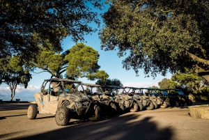 Palma de Off/On Road Buggy Tour with 2 or 4 Seater