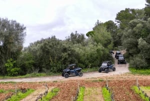 Palma de Mallorca : Excursion en buggy hors route et sur route avec 2 ou 4 places