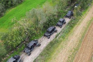 Palma de Mallorca: Off/On Road Buggy Tour with 2 or 4 Seater