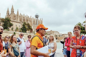 Palma de Mallorca: Rundvisning i den gamle bydel og katedralen