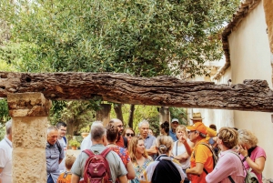 Palma de Mallorca: Rundvisning i den gamle bydel og katedralen