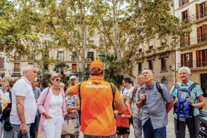 Palma de Mallorca: Rundvisning i den gamle bydel og katedralen