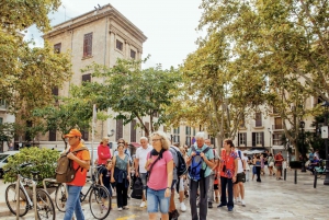 Palma de Mallorca: Rundvisning i den gamle bydel og katedralen