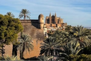Palma de Mallorca: Atmosfærisk aftentur i den gamle bydel
