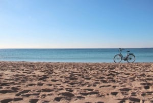 Wycieczka rowerowa z przewodnikiem po Starym Mieście w Palma de Mallorca