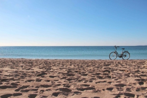 Palma de Mallorca Old Town Guided Bike Tour