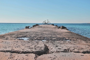 Palma de Mallorca Old Town Guided Bike Tour