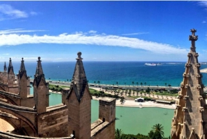 Palma de Mallorca: Old Town Guided Tour & Cathedral Visit