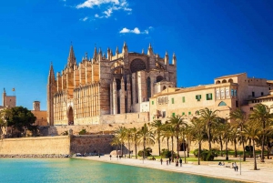 Palma de Majorque : visite de la vieille ville et cathédrale