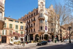 Palma de Majorque : visite de la vieille ville et cathédrale
