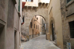 Palma de Mallorca: Guidet tur i den gamle by og katedralen