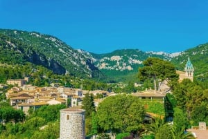 Palma de Mallorca: Palma och Valldemossa på fritiden
