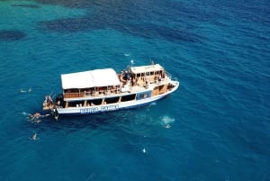 Palma de Mallorca: Palma Bay Båttur med snorkling
