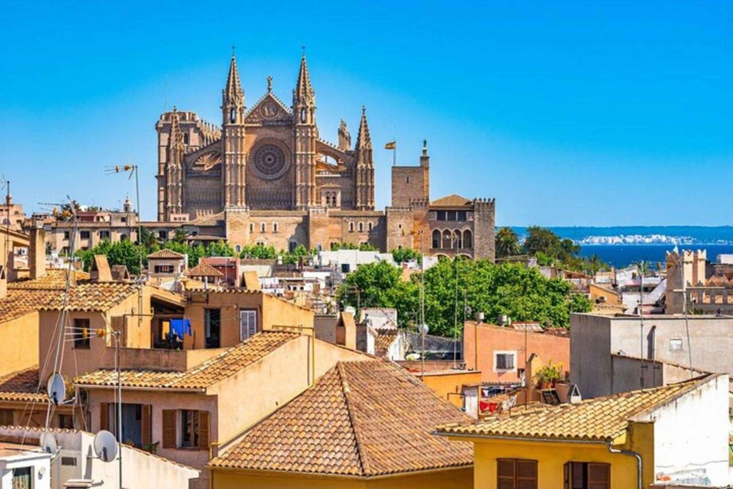Palma de Mallorca : Tour privado en bicicleta