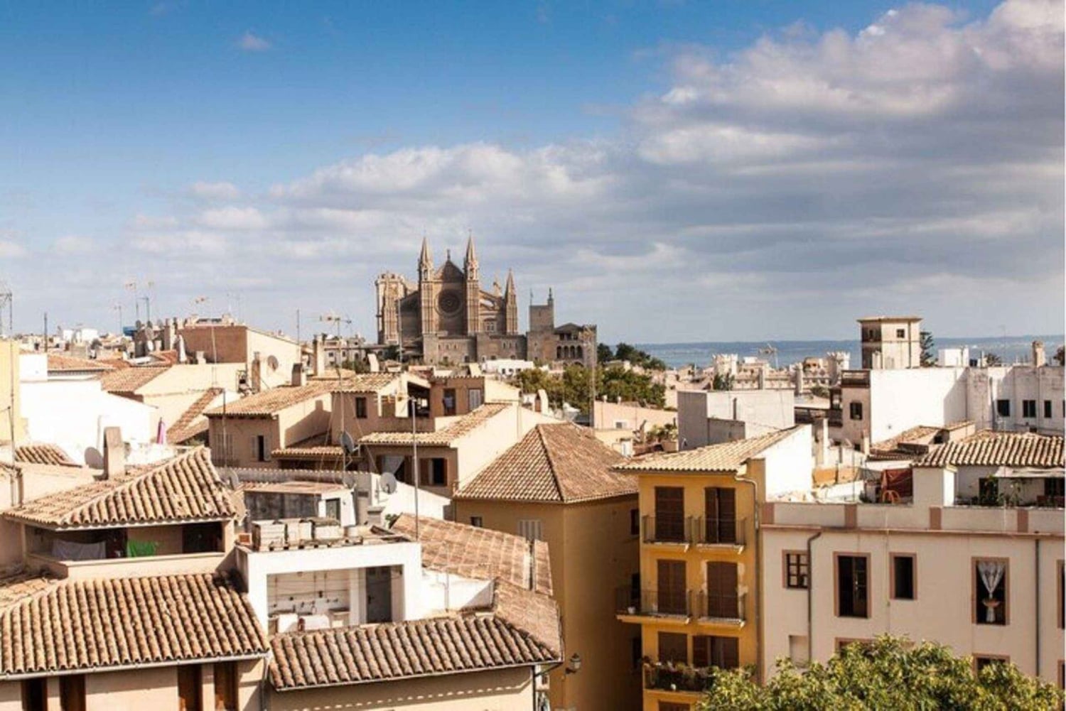 Palma de Mallorca : Tour privado en bicicleta