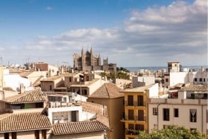 Palma de Mallorca: Private Bike Tour