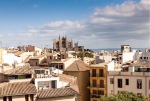 Palma de Mallorca : Tour privado en bicicleta