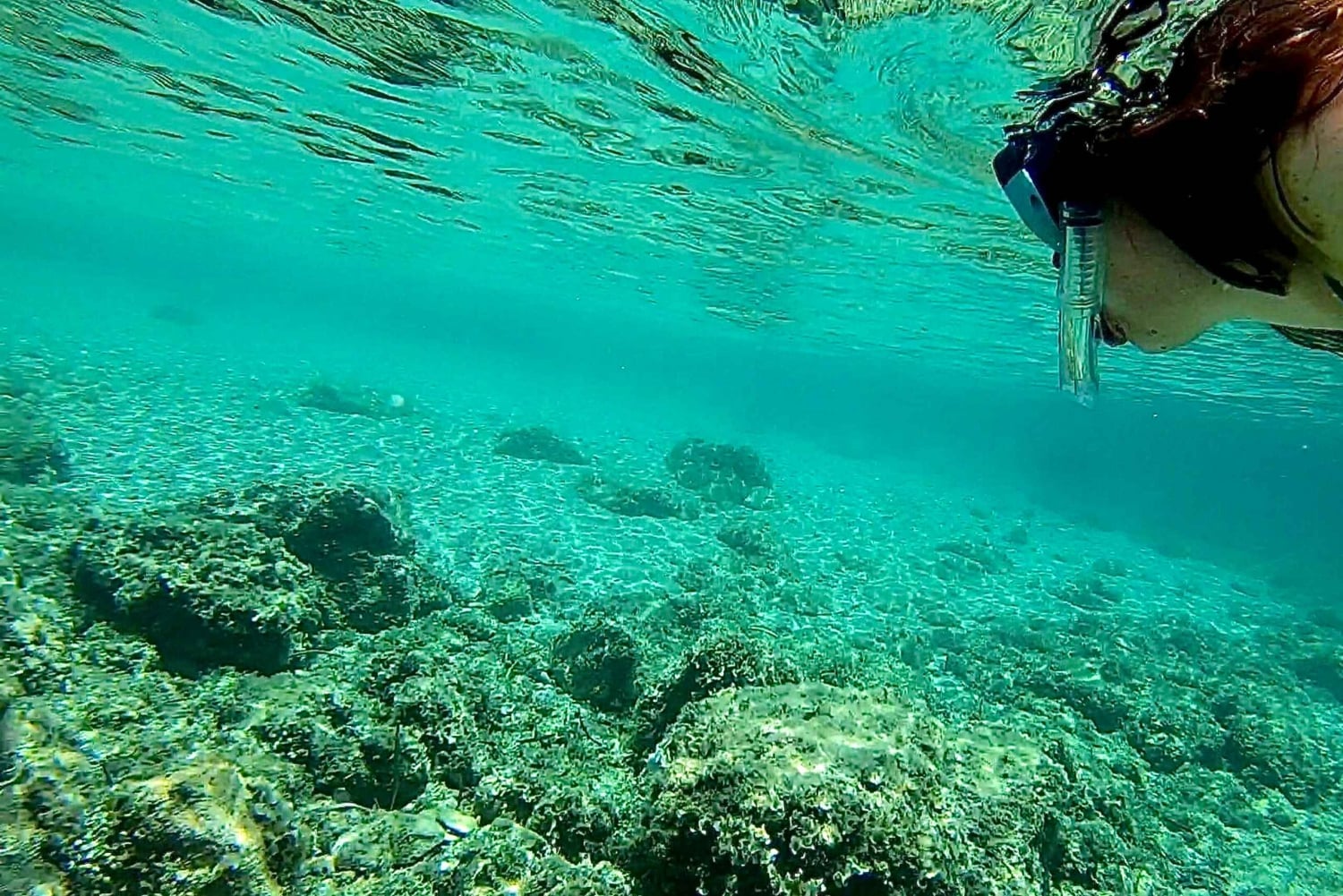 Palma de Maiorca: passeio de barco privado com snorkel e paddle