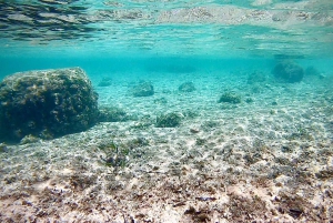 Palma de Maiorca: passeio de barco privado com snorkel e paddle