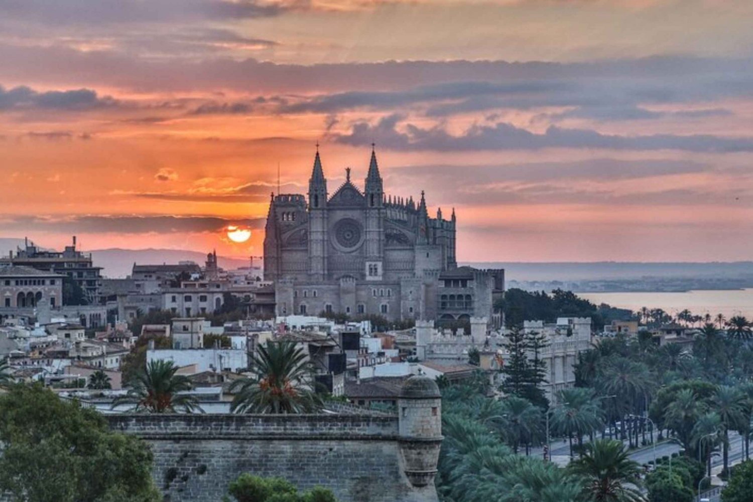 Palma de Mallorca: Privat skräddarsydd rundtur med lokal guide