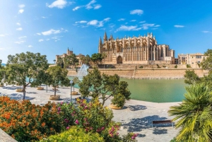 Palma de Mallorca: Passeio particular personalizado com um guia local