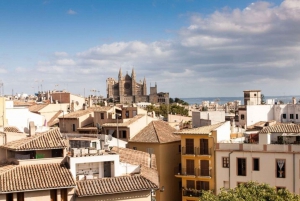 Palma de Mallorca: Passeio particular personalizado com um guia local