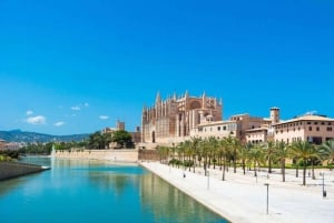 Palma de Majorque : Visite privée sur mesure avec un guide de la région