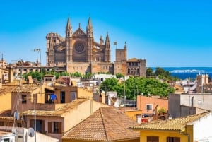 Palma de Mallorca: Paikallinen opas: Yksityinen kiertoajelu paikallisen oppaan kanssa