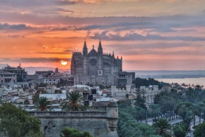 Palma de Mallorca: Tour particular personalizado com um guia local
