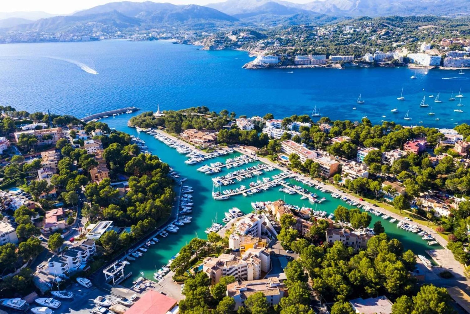 Palma de Mallorca: Yksityinen Drachin luolien ja itärannikon kierros