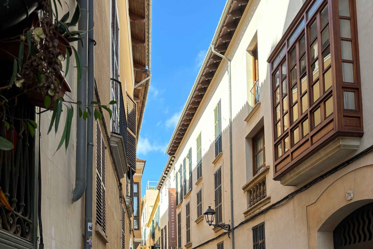 Palma de Mallorca: Tour guiado privado a pie con tapas