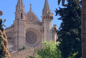Palma de Mallorca: Private Guided Walking Tour with Tapas