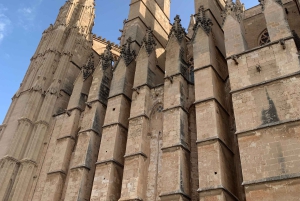 Palma de Mallorca: Tour guiado privado a pie con tapas