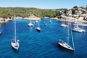 Palma de Majorque : Croisière privée en bateau à voile et tapas