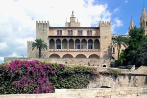 Palma di Maiorca: Tour privato guidato a piedi con una guida locale