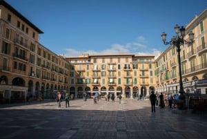 Palma di Maiorca: Tour privato guidato a piedi con una guida locale