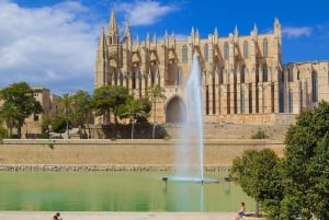 Palma de Mallorca: Tour privado a pie con guía local